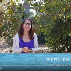 מתכון לממרח פסטו מבלוטים (וידאו)