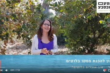 מתכון לממרח פסטו מבלוטים (וידאו)